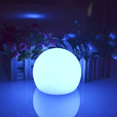 Outdoor LED Globe Garden Lights